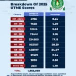 Why Wigwe’s helicopter crashed – US transport board