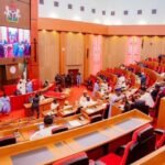 Senate sets up committee to oversee Rivers’ Sole Administrator