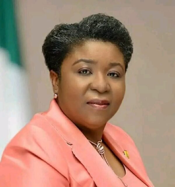 Civil service to go paperless by December – FG