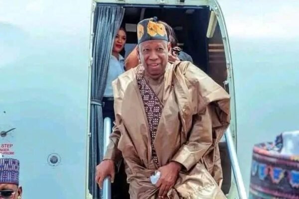 APC National Chairman, Gaduje steps down amid controversy